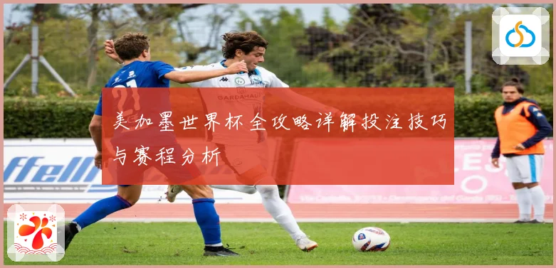 美加墨世界杯全攻略详解投注技巧与赛程分析