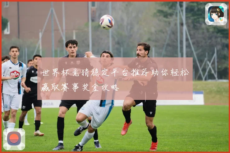世界杯竞猜稳定平台推荐助你轻松赢取赛事奖金攻略