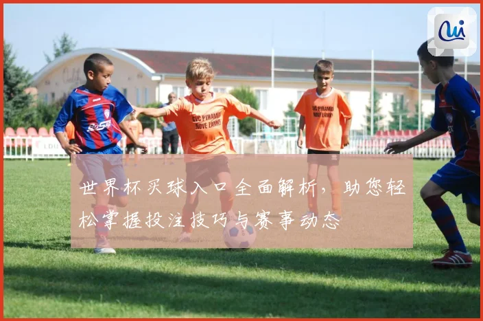 世界杯买球入口全面解析，助您轻松掌握投注技巧与赛事动态