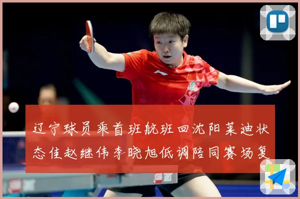 辽宁球员乘首班航班回沈阳莱迪状态佳赵继伟李晓旭低调陪同赛场复盘