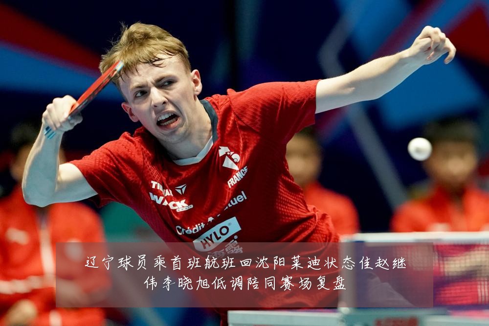 辽宁球员乘首班航班回沈阳莱迪状态佳赵继伟李晓旭低调陪同赛场复盘
