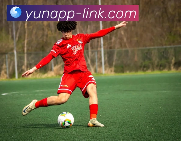 开云平台展示图